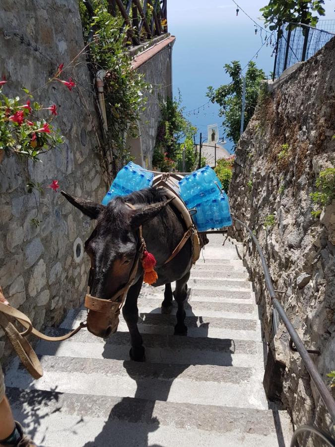 Estate4Home - Goat Path Positano Kültér fotó